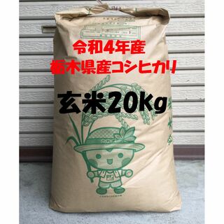 売り切り！令和2年産　栃木県産コシヒカリ　玄米20kg(精米可)