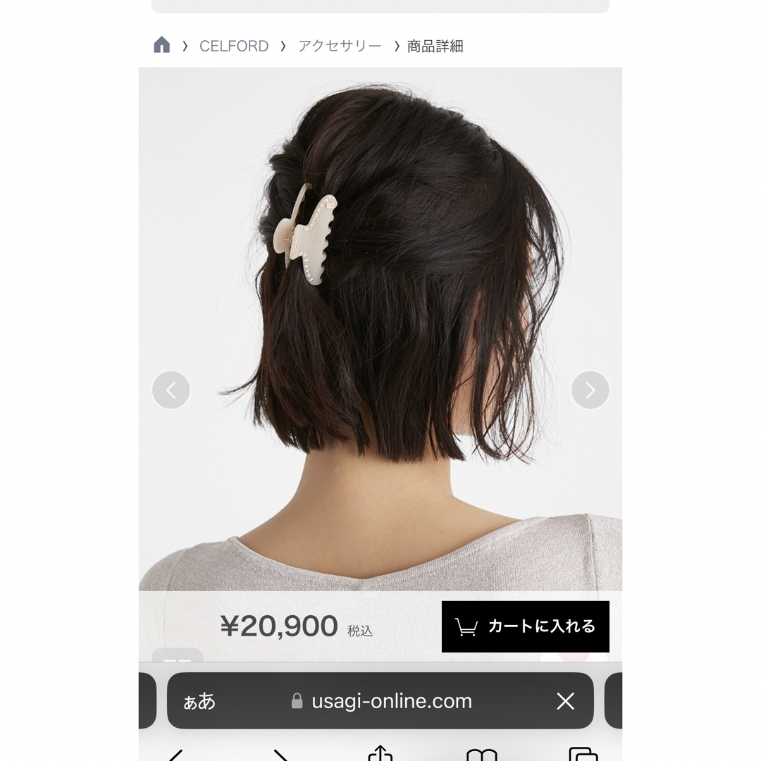 アレクサンドルドゥパリ　ヘアクリップ　未使用