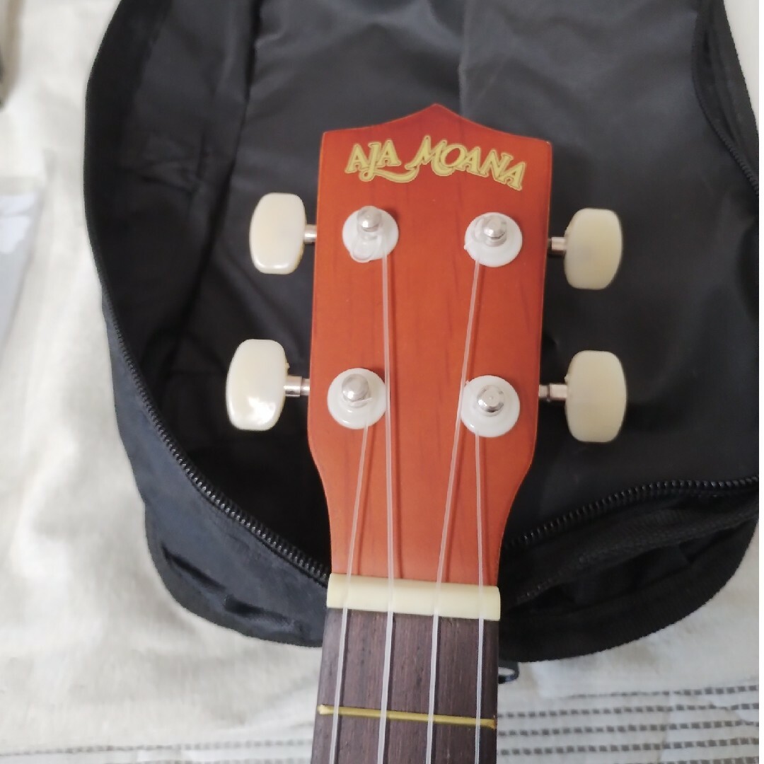 ALA(アラ)の未使用 ウクレレセット ALA MOANA UK-100G/MH 楽器のウクレレ(ソプラノウクレレ)の商品写真