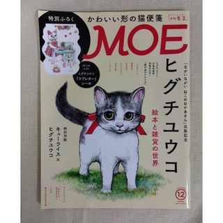 ハクセンシャ(白泉社)のMOE (モエ) 2020年 12月号　ヒグチユウコ　絵本と雑貨の世界(アート/エンタメ/ホビー)