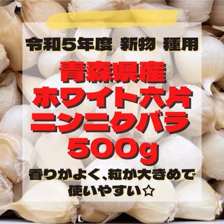 【種用】令和5年度 新物 少量パック 青森県産 ホワイト六片 ニンニク 500g(野菜)