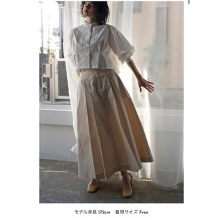 willfully  side belt deep tuck a line SK(ロングスカート)