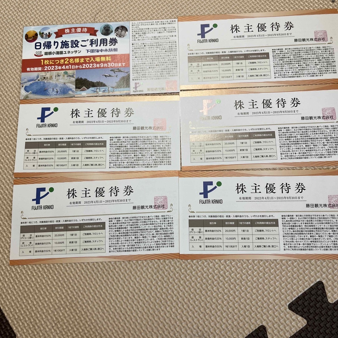 日帰り施設ご利用券1枚　施設優待券5枚 チケットの施設利用券(水族館)の商品写真