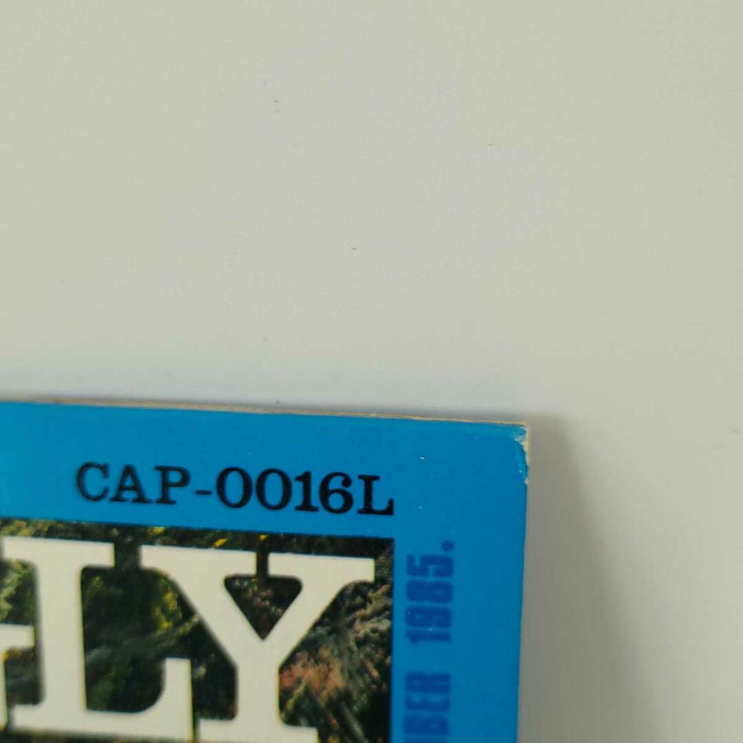 LIP CREAM リップクリーム KILL UGLY POP！ CAP‐0016 国内盤 アナログ レコード LP 2