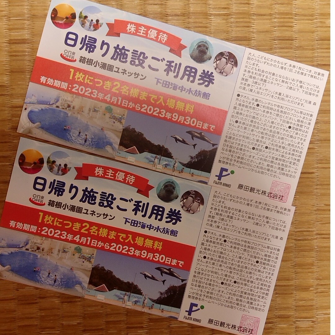 2枚　藤田観光　株主優待　日帰り施設ご利用券