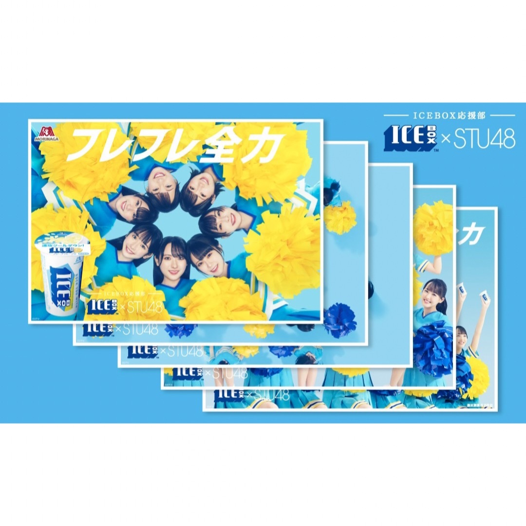 ★非売品★ 5枚セット 日向坂46 ×アイスボックス ミニポスターエンタメ/ホビー