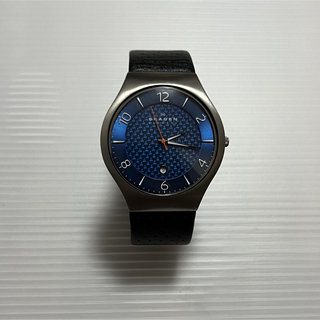 スカーゲン(SKAGEN)のSKAGEN スカーゲン　skw6148(腕時計(アナログ))