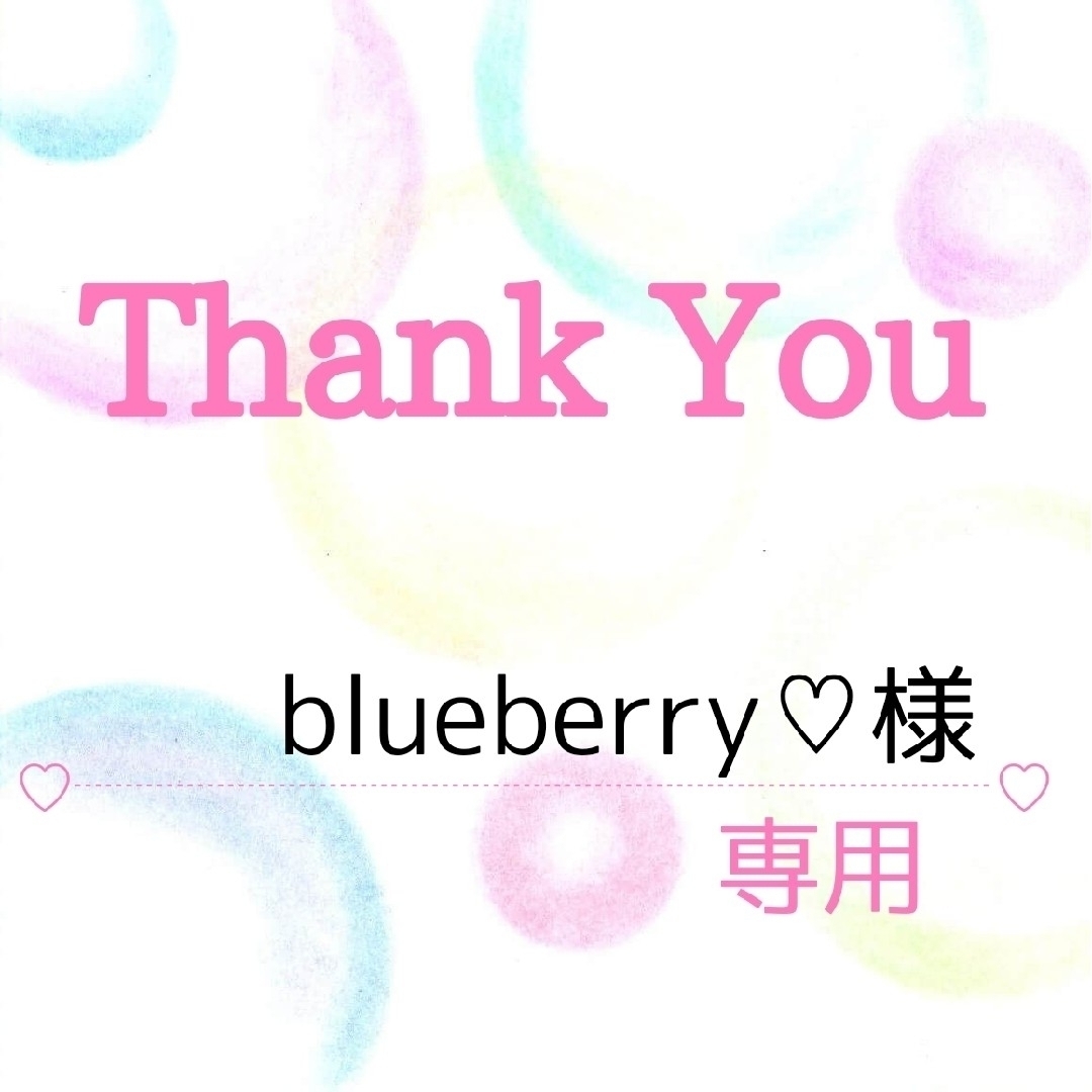 blueberry♡様専用 ハンドメイドの文具/ステーショナリー(その他)の商品写真