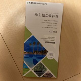 東急不動産ホールディングス株主優待券　100株以上(宿泊券)