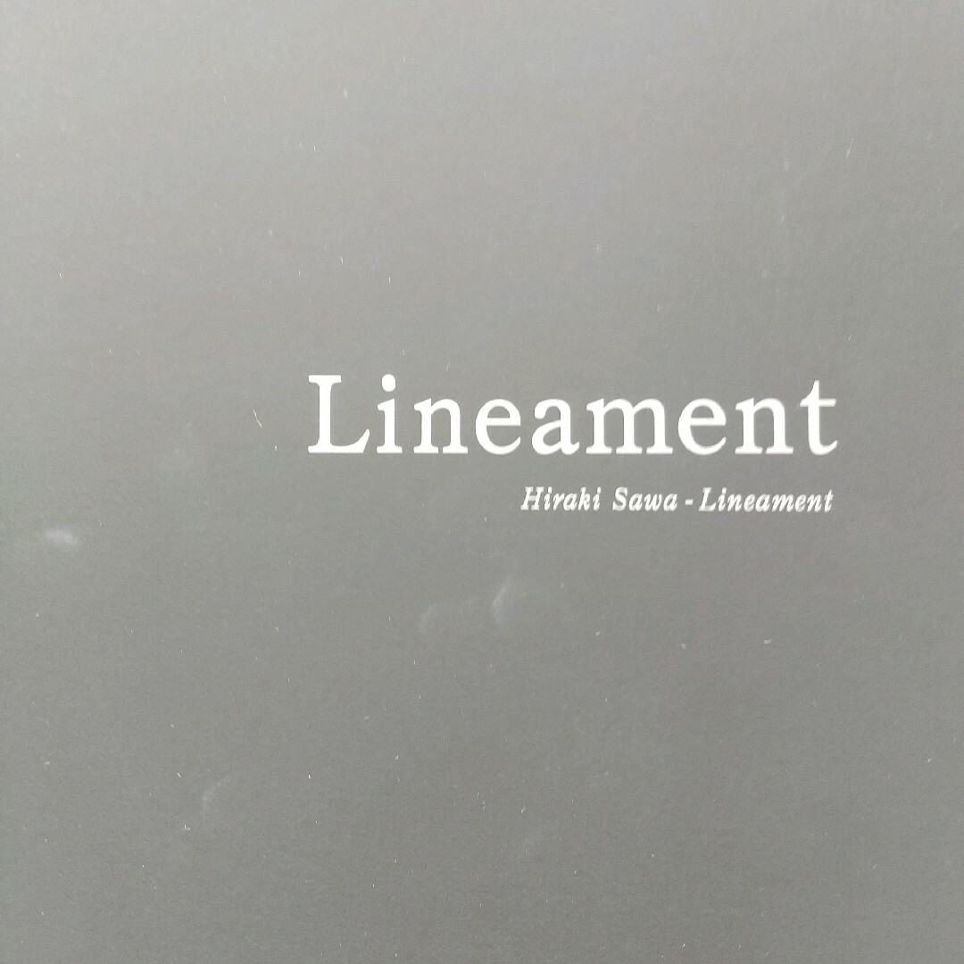 【レア】　さわひらき展　lineament　資生堂ギャラリー　カタログ　図録