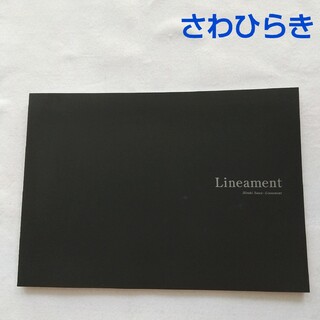 【レア】　さわひらき展　lineament　資生堂ギャラリー　カタログ　図録