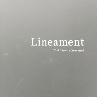 【レア】　さわひらき展　lineament　資生堂ギャラリー　カタログ　図録