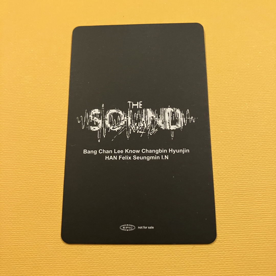 straykids thesound チャンビン ソニミュ ラキドロ