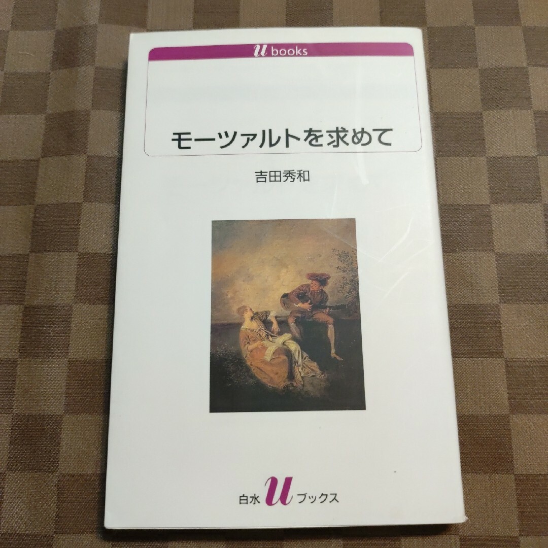 モーツァルトを求めて エンタメ/ホビーの本(アート/エンタメ)の商品写真