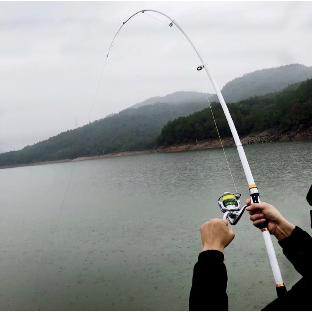 釣り竿 釣竿 ロッド カーボン 2.4m 海釣り 川釣り 1本 白 釣具 船竿