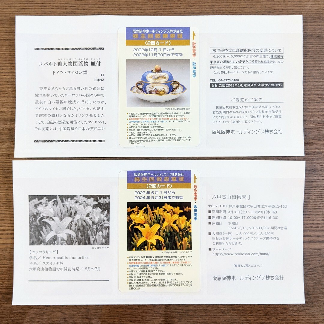 阪神阪神HD　株主回数乗車証 チケットの乗車券/交通券(鉄道乗車券)の商品写真