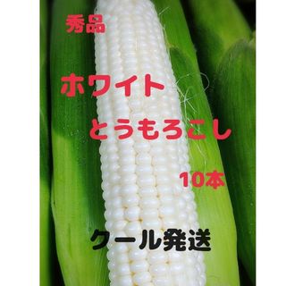 秀品ホワイトとうもろこし 10本(野菜)