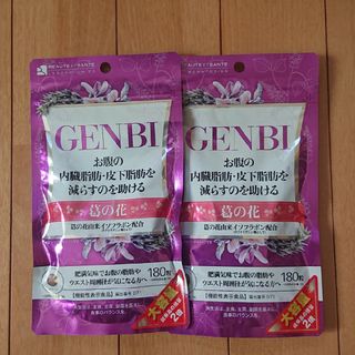 GENBI 計120日分(ダイエット食品)