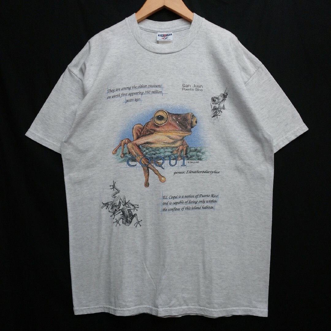 蛙 カエル JERZEES Tシャツ