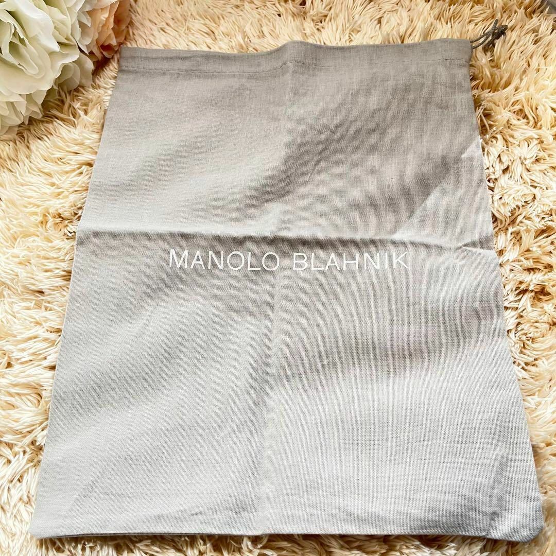 MANOLO BLAHNIK/ハンギシ/ポインテッドトゥ/パンプス/約22cm-silversky