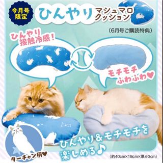 ベネッセ(Benesse)のひんやりマシュマロクッション★ねこのきもち付録(猫)