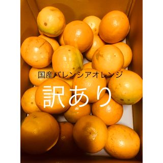 訳ありL 5kg 国産バレンシアオレンジ/ 箱何でも良い方用　有田みかん(フルーツ)