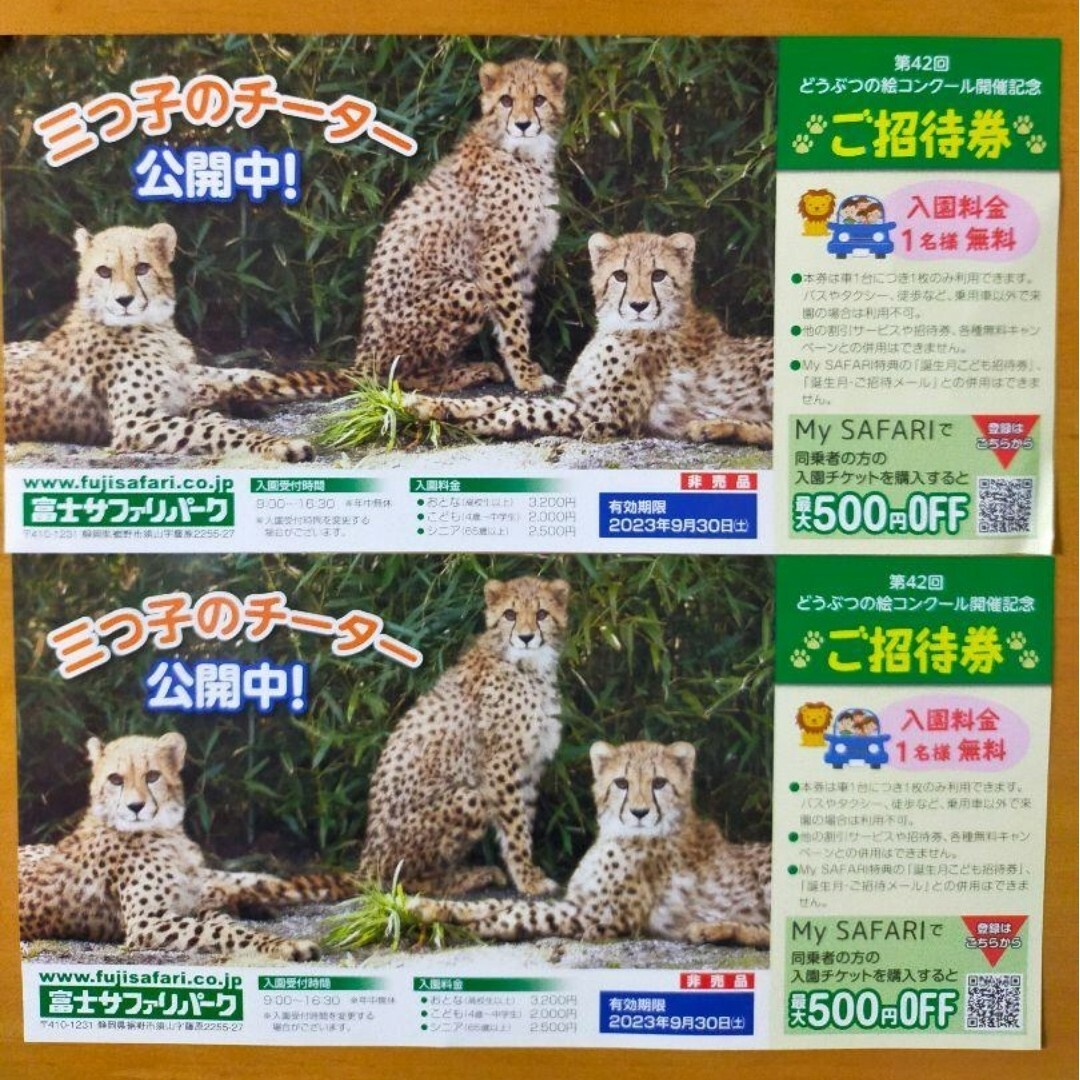 富士サファリパーク　入園チケット　動物園