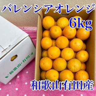 和歌山有田産 バレンシアオレンジ 6kg(フルーツ)