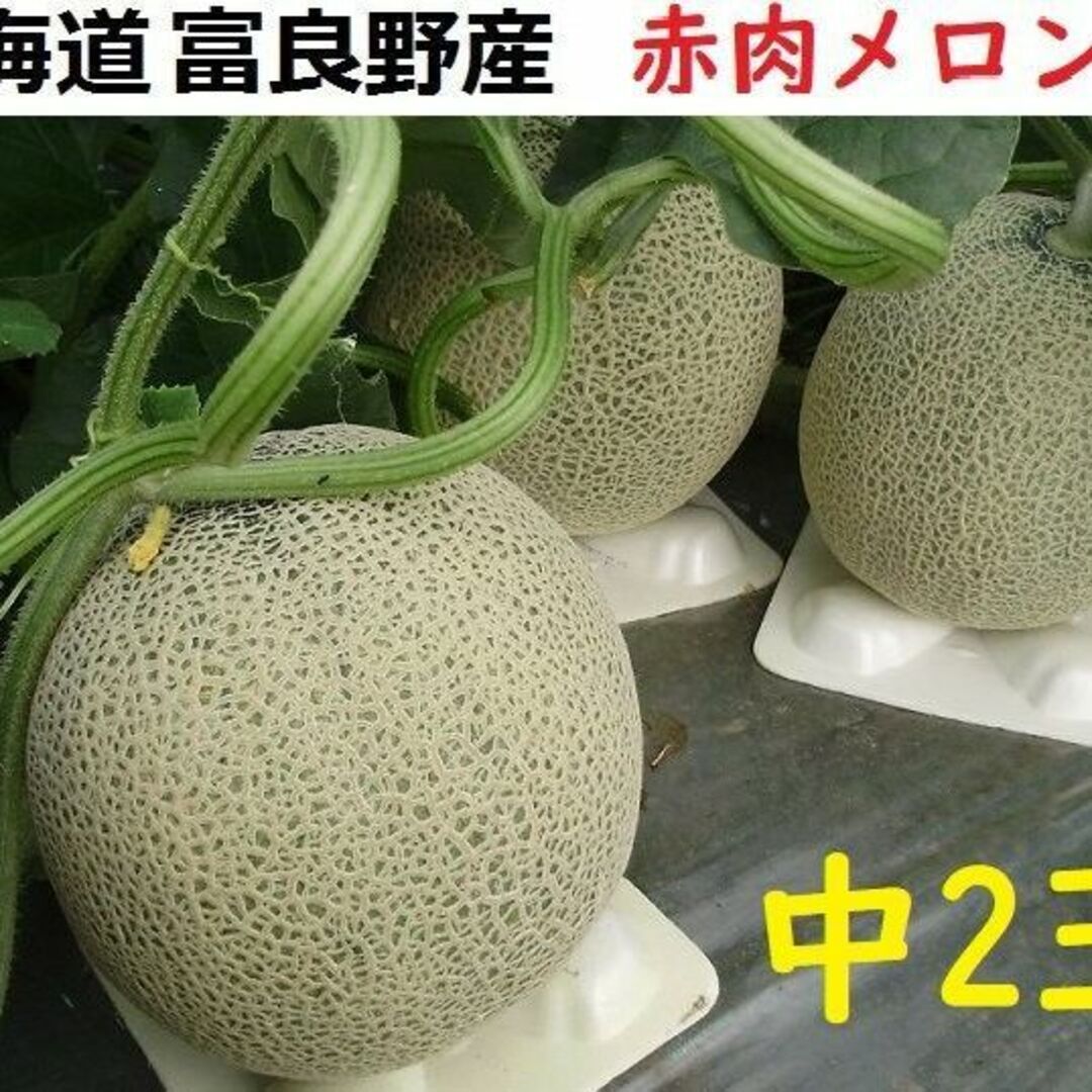 富良野産 赤肉メロン中２玉 （1.6ｋｇ以上/玉）【お中元　ご贈答に最適！】 食品/飲料/酒の食品(フルーツ)の商品写真