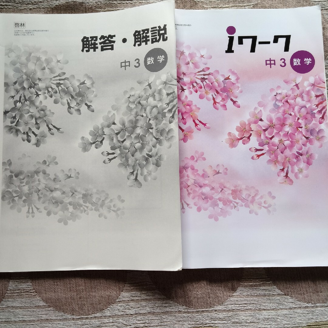 iワーク　数学　中3 その他のその他(その他)の商品写真