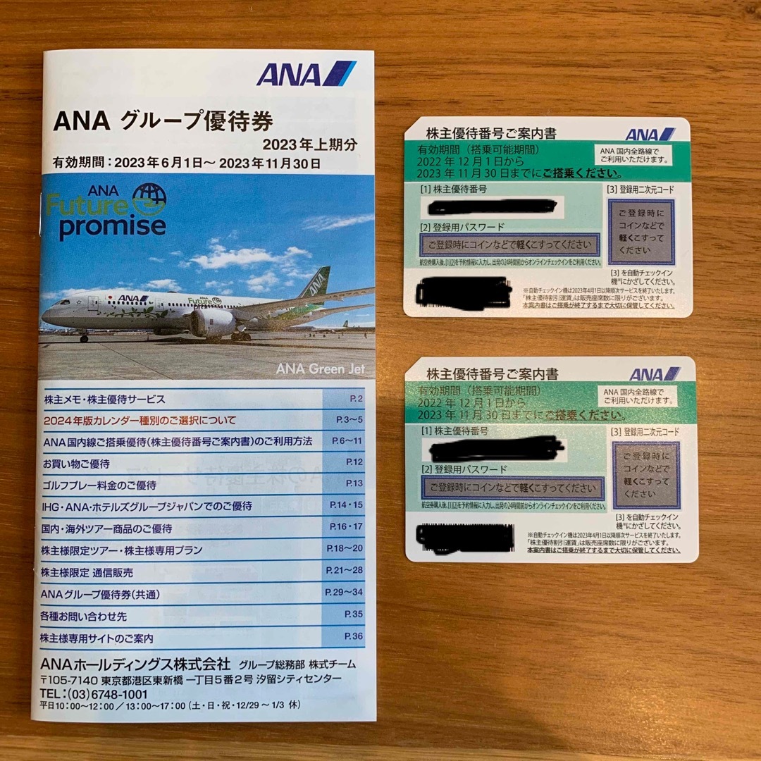 ANA(全日本空輸)(エーエヌエー(ゼンニッポンクウユ))のANA株主優待券2枚　ANAグループ優待券 チケットの乗車券/交通券(航空券)の商品写真