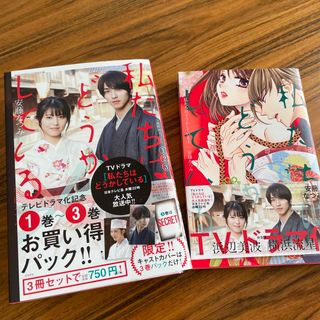 コウダンシャ(講談社)の私たちはどうかしているテレビドラマ化記念１巻～３巻お買い得パック➕4巻　(その他)