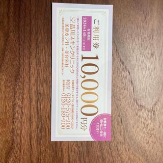 品川スキンクリニック　10000円分優待券(その他)