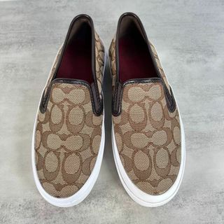 おしゃれ coachコーチスニーカー ☆ シグネチャー キャンバス地 23cm