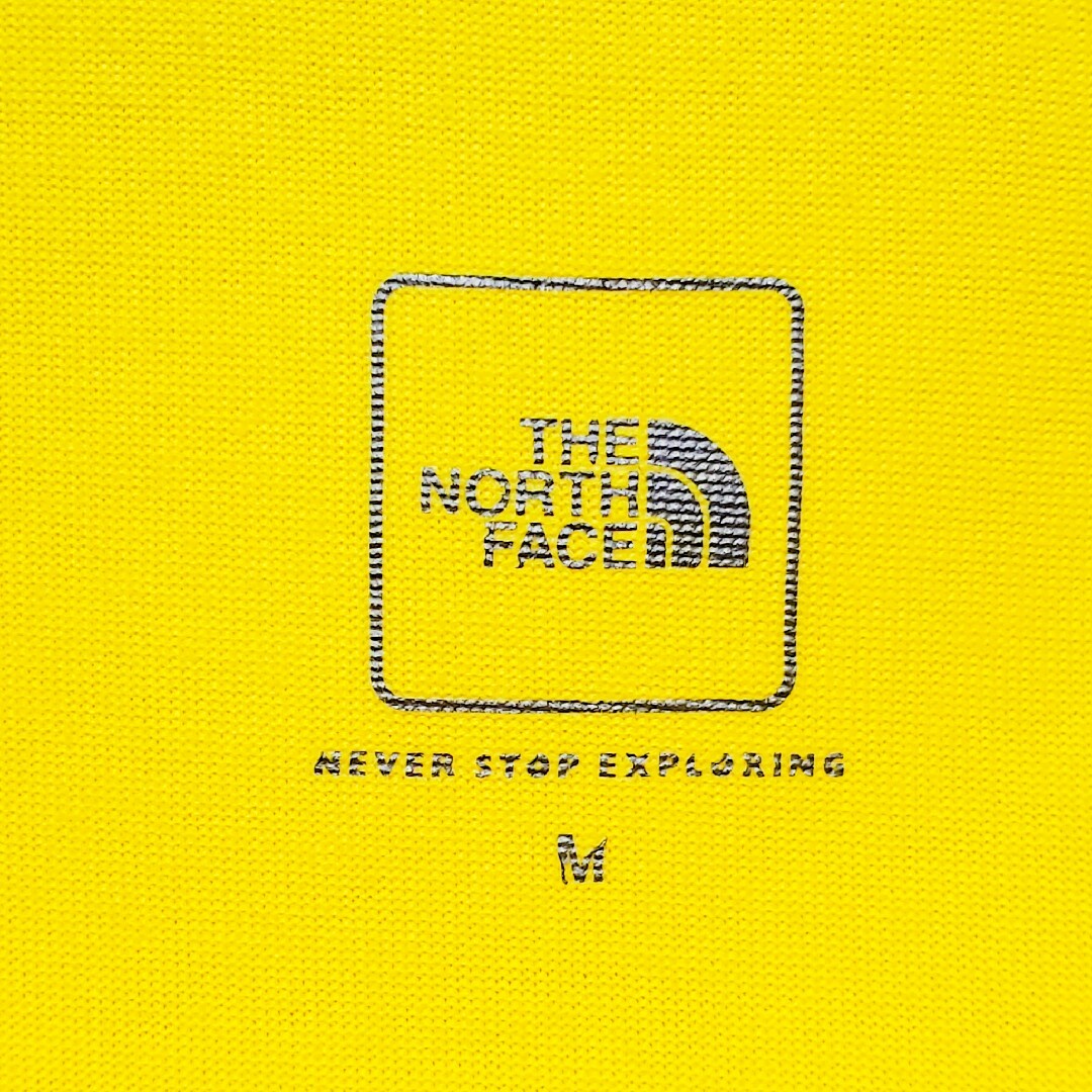 THE NORTH FACE(ザノースフェイス)のnorthface プリントTシャツ メンズのトップス(Tシャツ/カットソー(半袖/袖なし))の商品写真