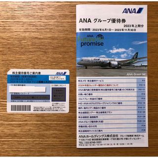 エーエヌエー(ゼンニッポンクウユ)(ANA(全日本空輸))の[匿名配送]ANA 株主優待 1枚 + 冊子 1冊(航空券)