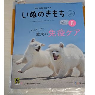 ベネッセ(Benesse)のいぬのきもち　2023年8月号　最新(犬)