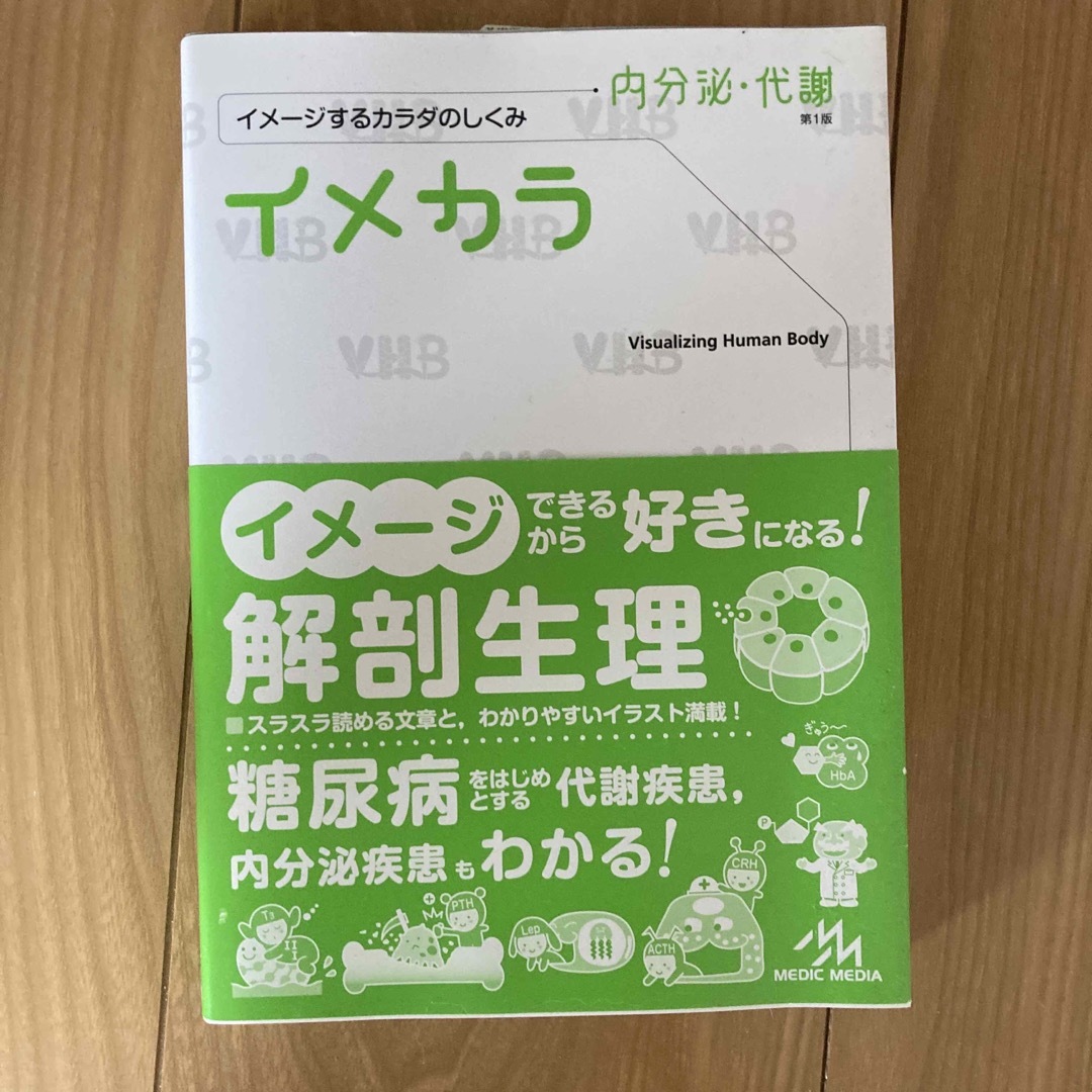 イメカラ内分泌・代謝 イメージするカラダのしくみ エンタメ/ホビーの本(健康/医学)の商品写真