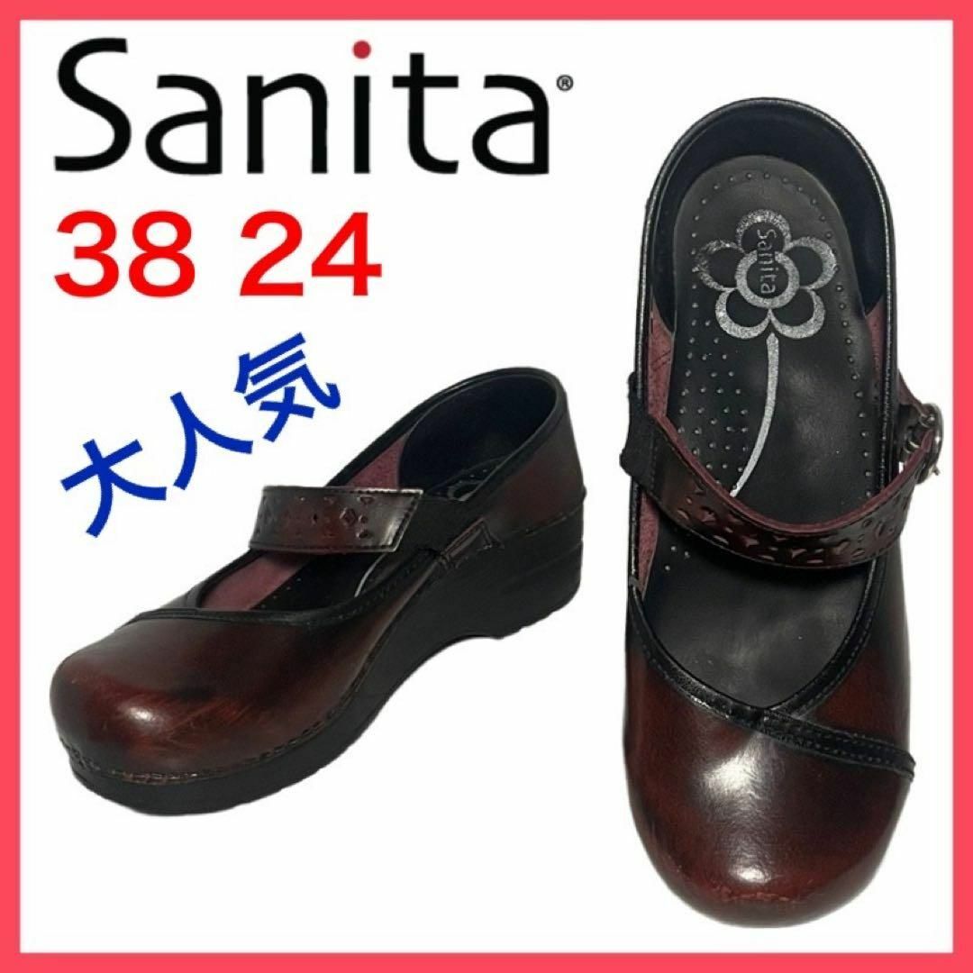 sanita 38  dansko プロフェッショナル