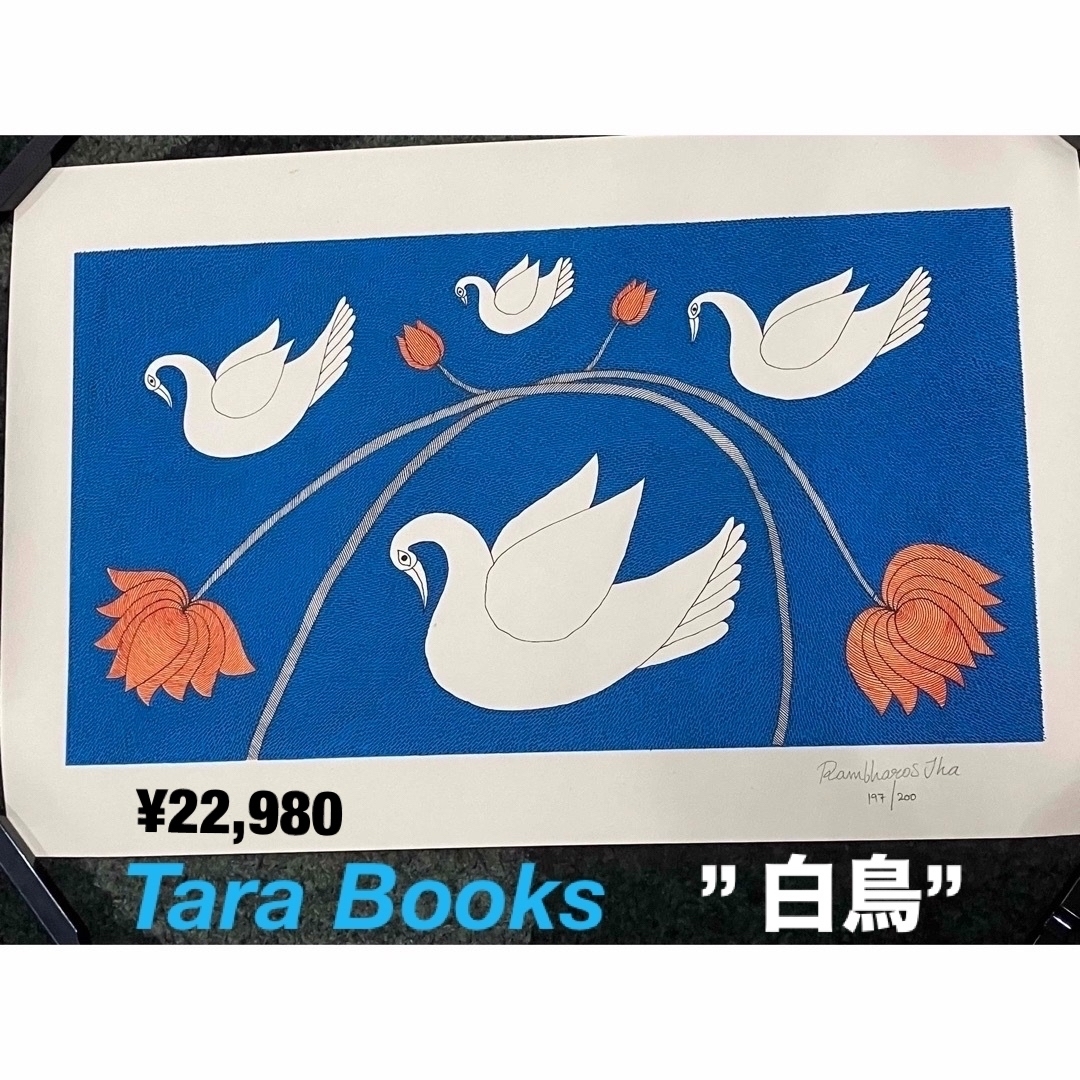 Tara Books水の生き物アートプリント　“白鳥”ハンドメイド