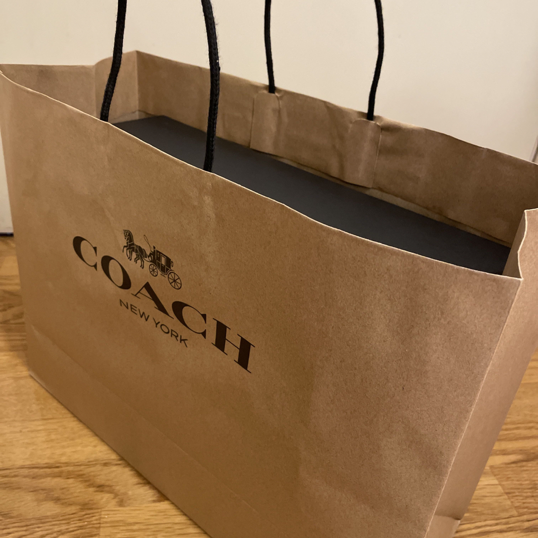 COACH(コーチ)の【ゴマ様専用】COACH コーチスリッポン スニーカー 26㎝【新品未使用】 メンズの靴/シューズ(スニーカー)の商品写真