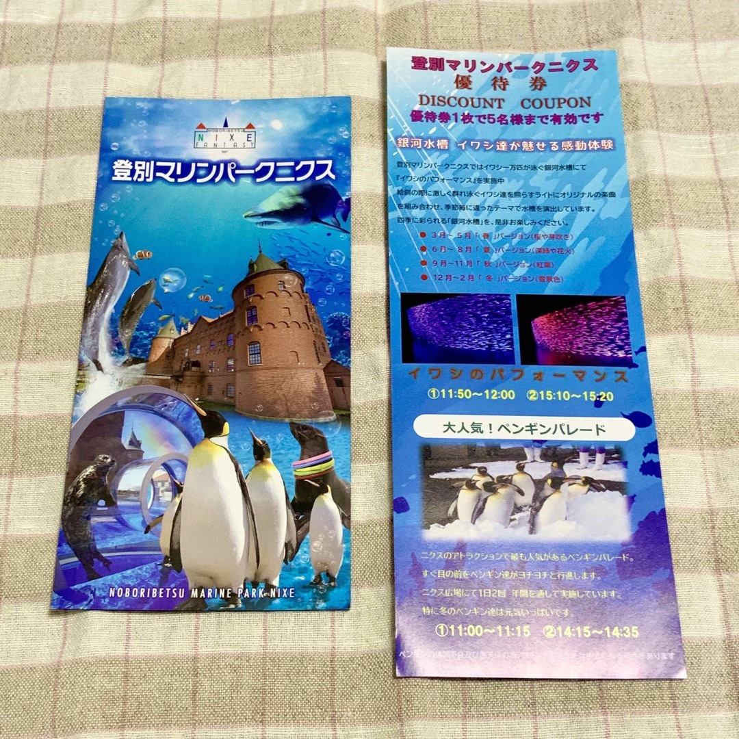 登別 マリンパークニクス 割引券＋パンフレット チケットの施設利用券(水族館)の商品写真