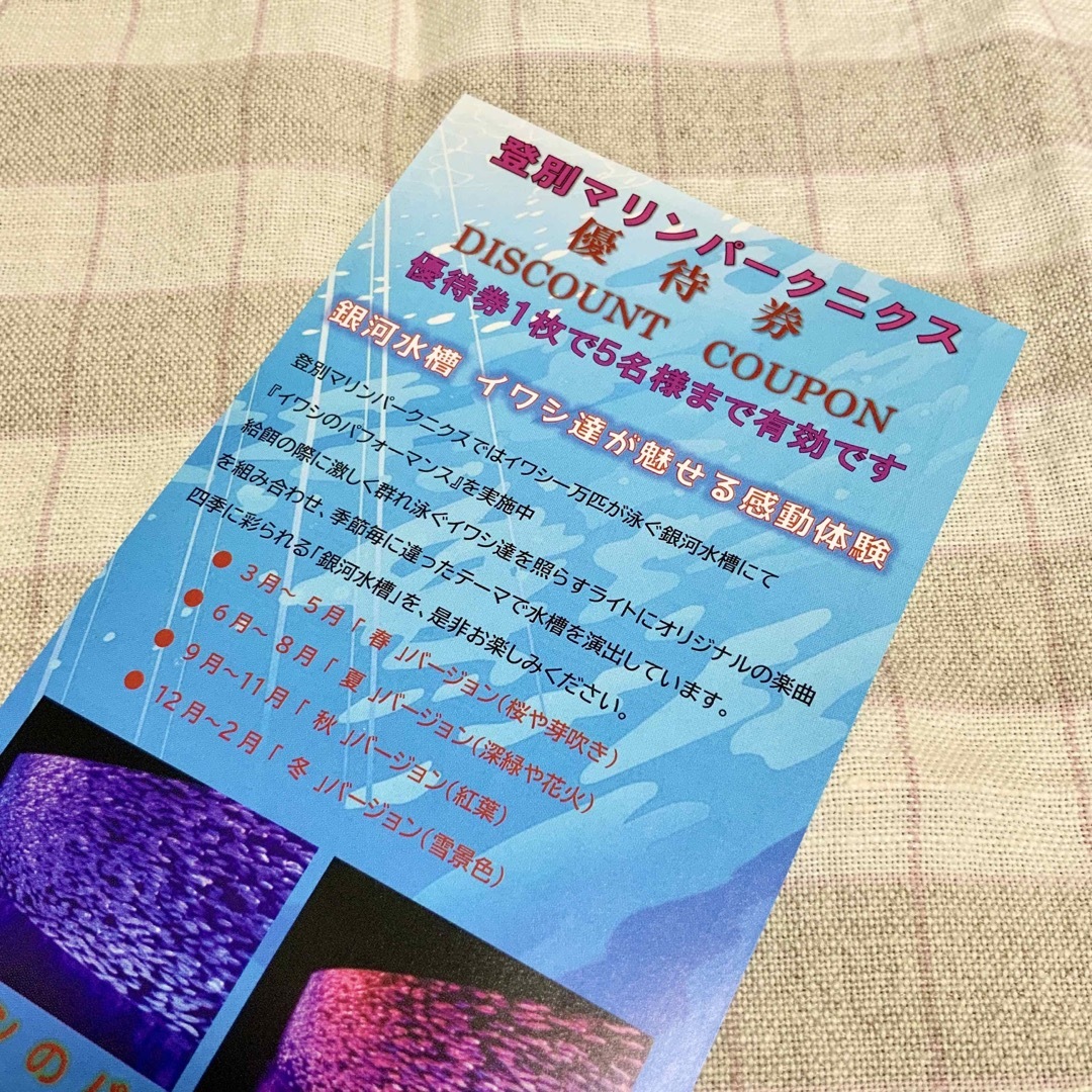 登別 マリンパークニクス 割引券＋パンフレット チケットの施設利用券(水族館)の商品写真