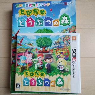 ニンテンドー3DS(ニンテンドー3DS)のとびだせ どうぶつの森 3DS(その他)