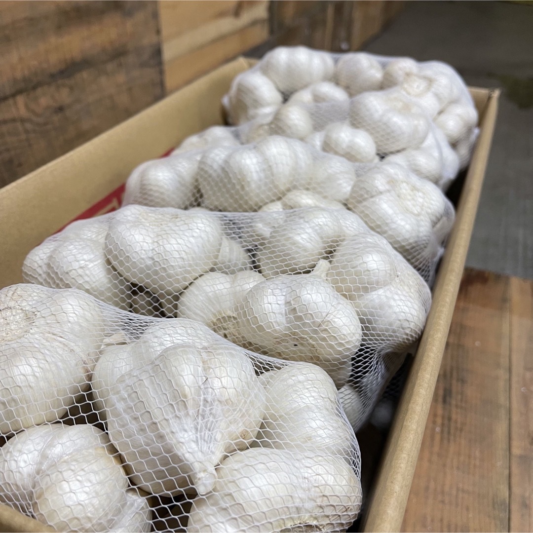 希少 福地村産 福地ホワイト L 10kg 青森県産 乾燥にんにく 令和5年産