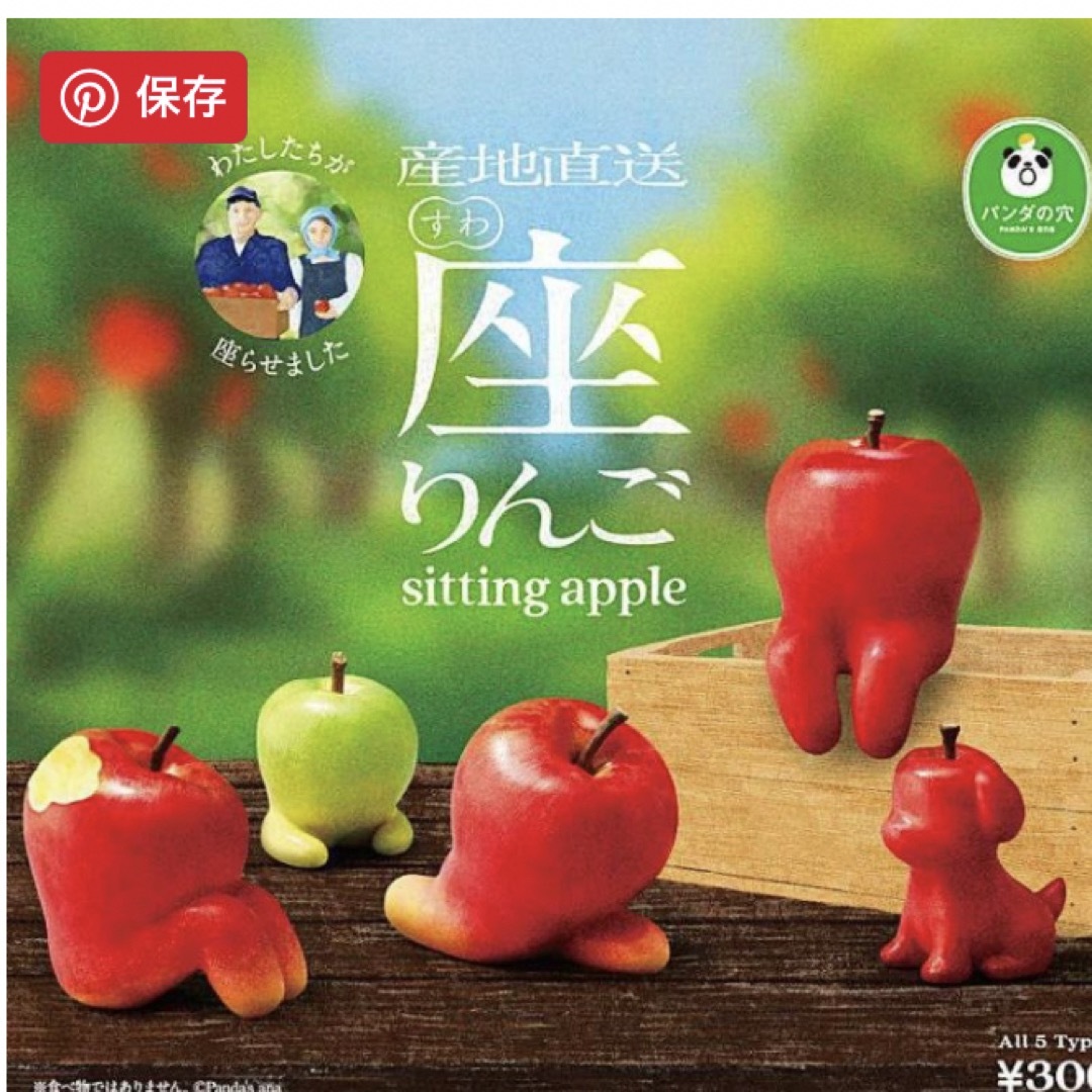 座りんご　全5種類セット エンタメ/ホビーのエンタメ その他(その他)の商品写真