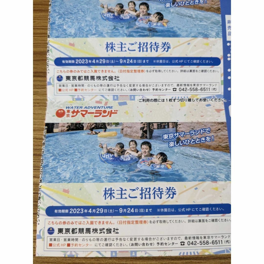 東京サマーランド 株主優待　4枚施設利用券