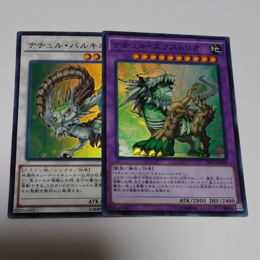 遊戯王 - ナチュルエクストリオ&ナチュルパルキオン スーパー 遊戯王 - ナチュルエクストリオ&ナチュルパルキオン スーパー