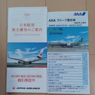 ジャル(ニホンコウクウ)(JAL(日本航空))のJAL割引券　 ANAグループ優待券　冊子のみ(その他)