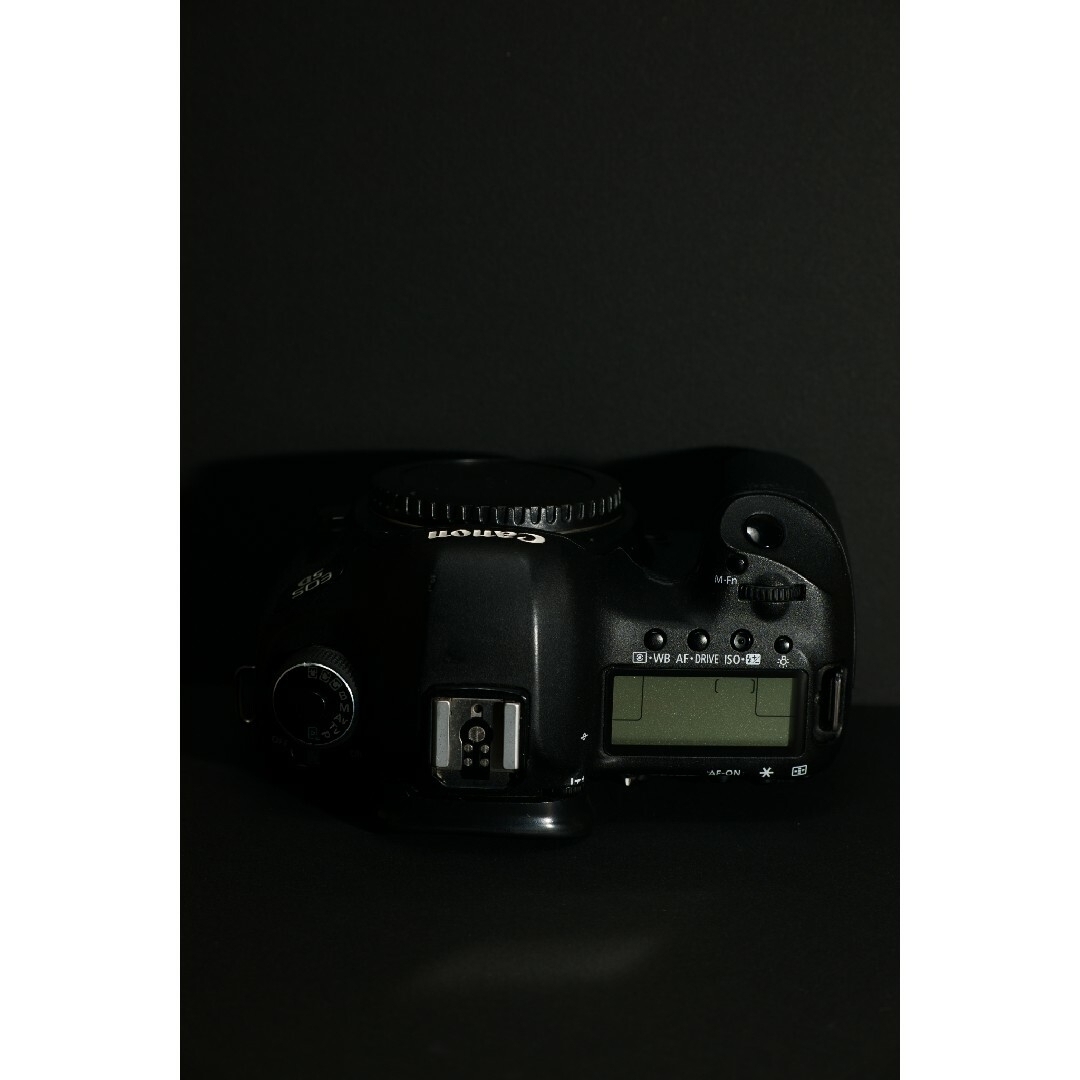 Canon EOS 5D mark Ⅲ プロサービス定期メンテ済み。おまけ多数
